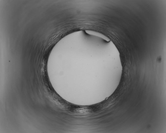 X0000114600219200911301430