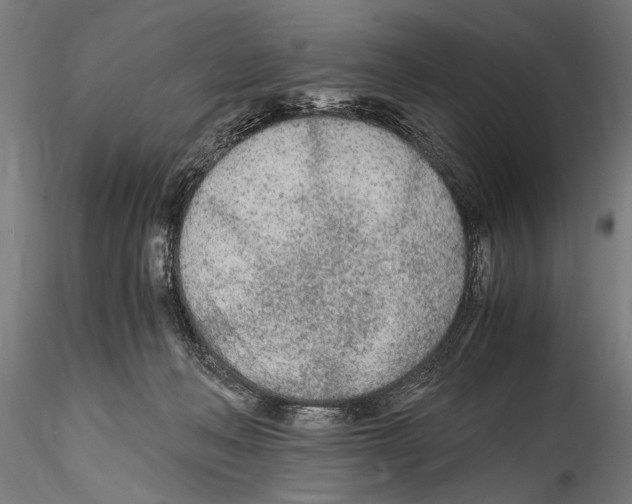 X0000114600222200911301430