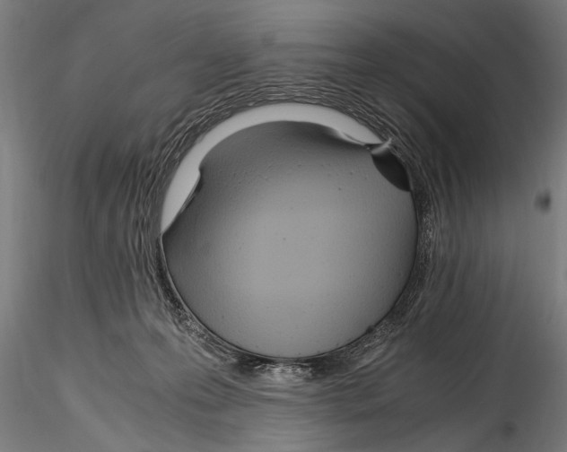 X0000114600223200911301430