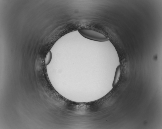 X0000114600225200911301430