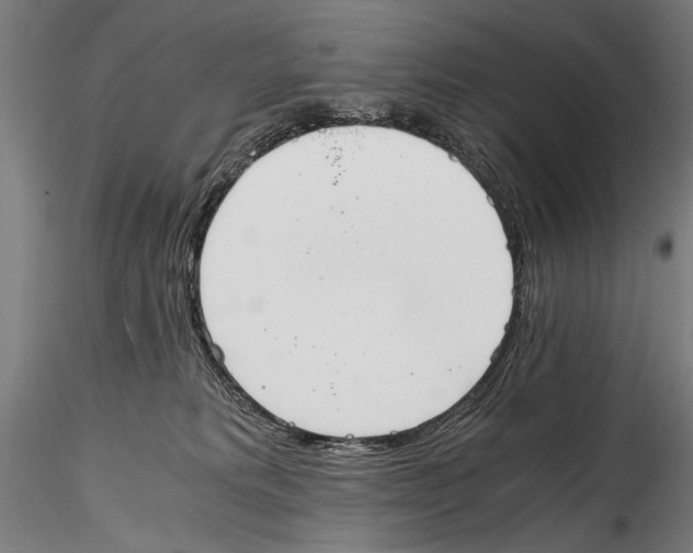 X0000114600229200911301430