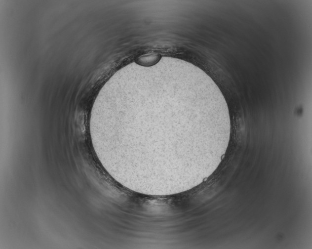 X0000114600232200911301430