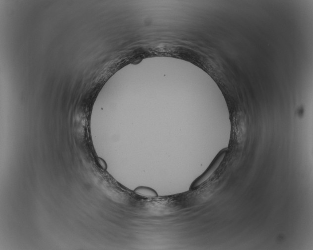 X0000114600235200911301430