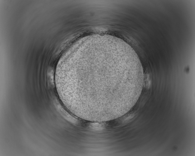 X0000114600238200911301430