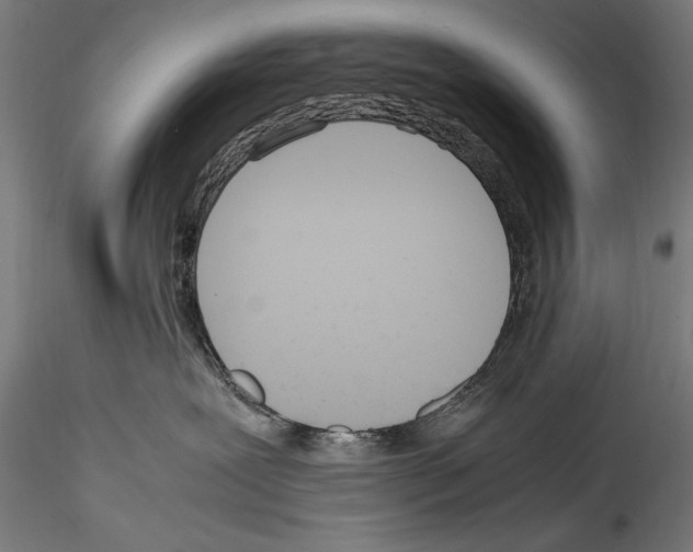 X0000114600239200911301430