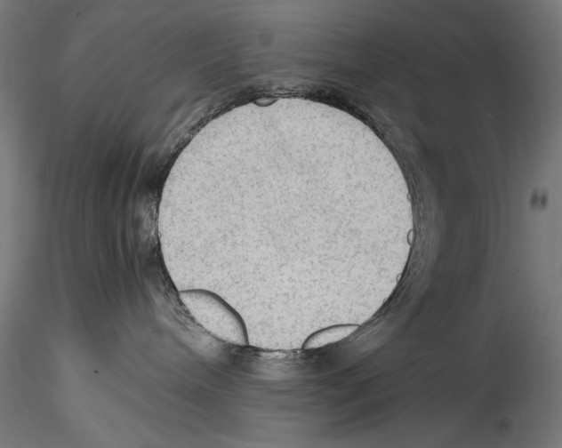 X0000114600240200911301430