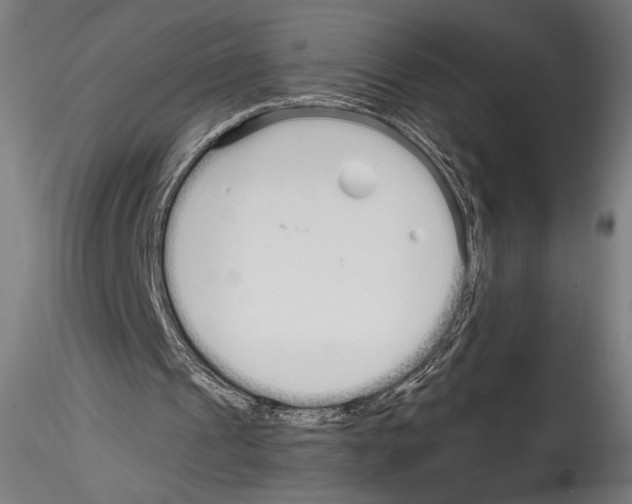 X0000114600241200911301429