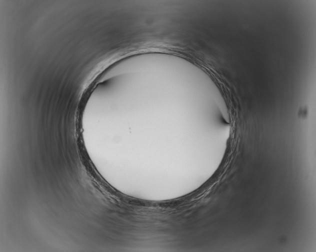 X0000114600244200911301429