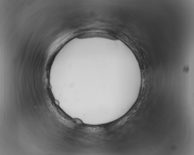 X0000114600245200911301429