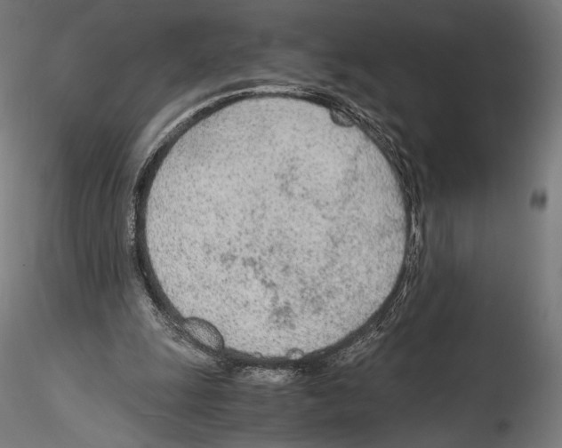 X0000114600247200911301429