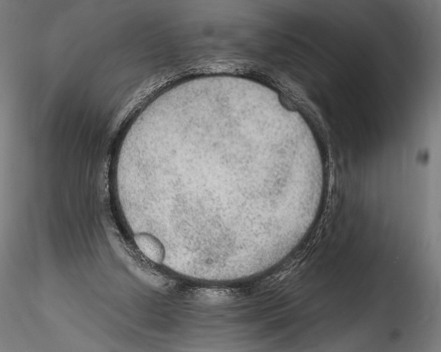 X0000114600250200911301429