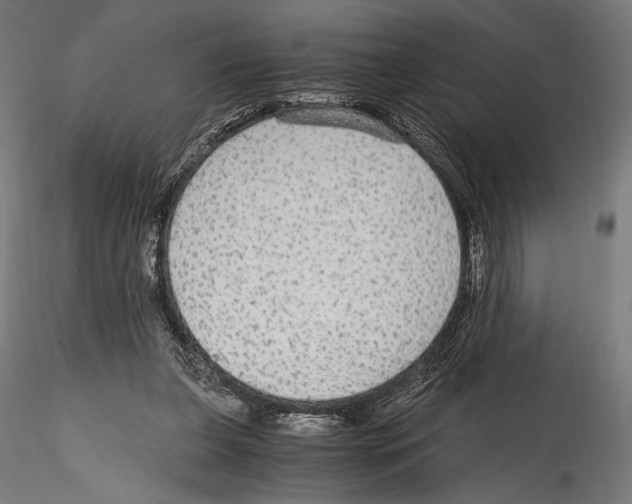 X0000114600255200911301429