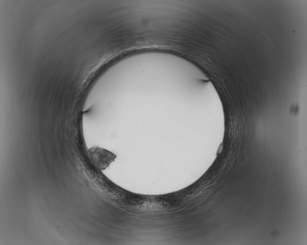 X0000114600256200911301429