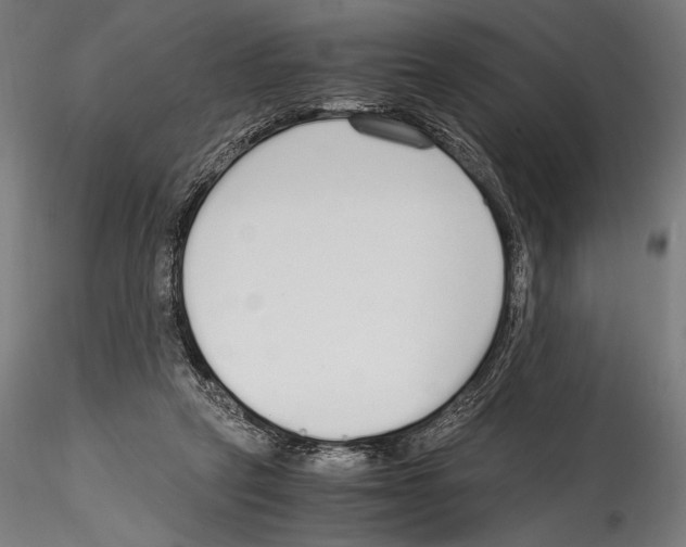 X0000114600257200911301429