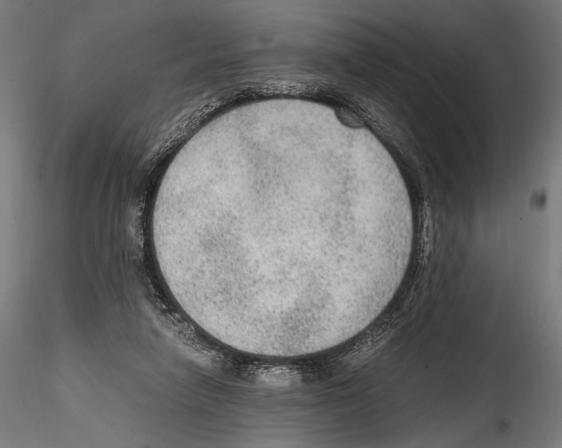 X0000114600258200911301429