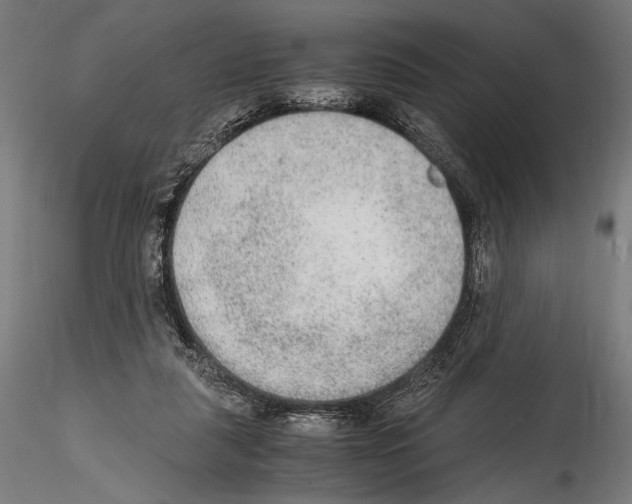 X0000114600259200911301429