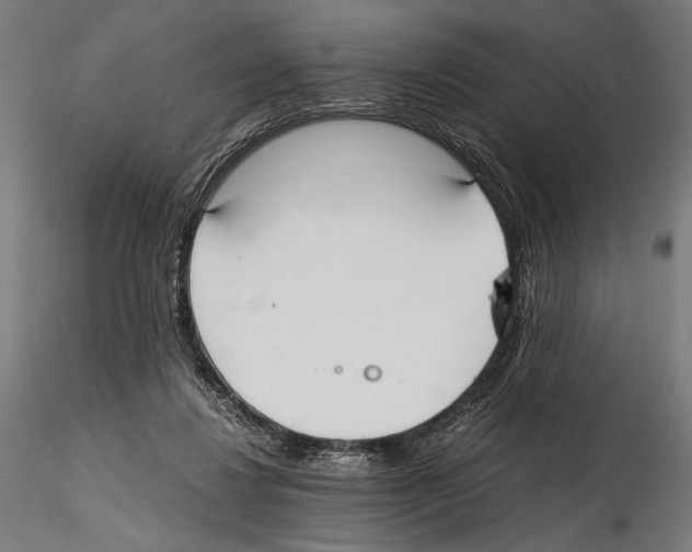 X0000114600260200911301429