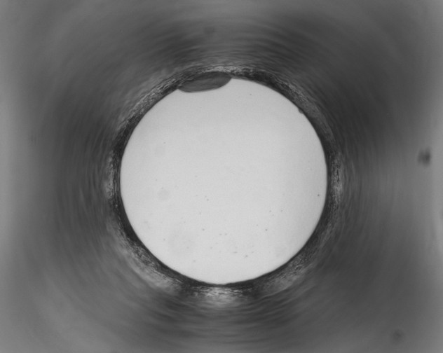 X0000114600261200911301429