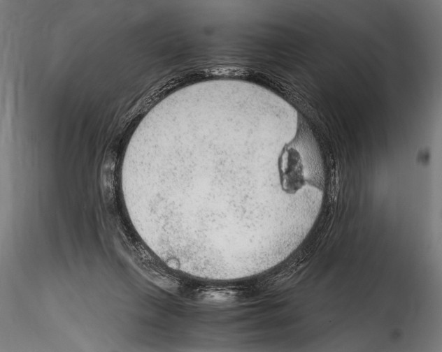 X0000114600263200911301429