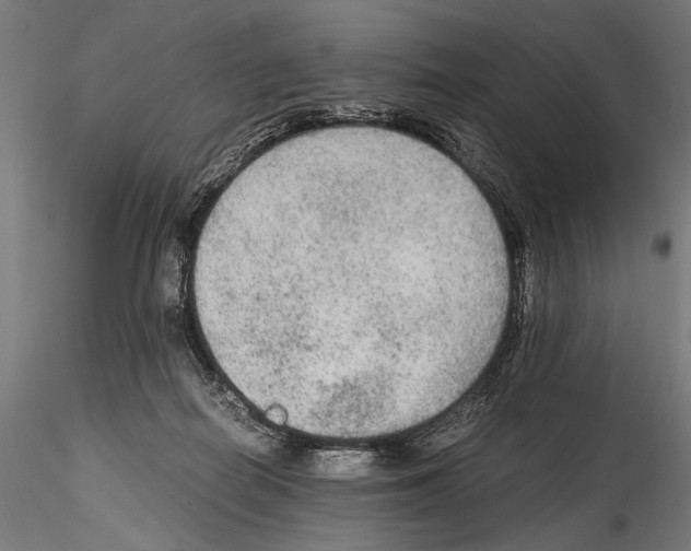 X0000114600266200911301429