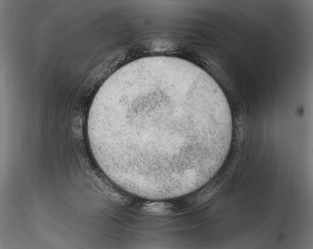 X0000114600269200911301429