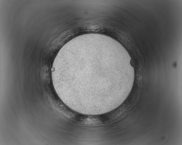 X0000114600270200911301429