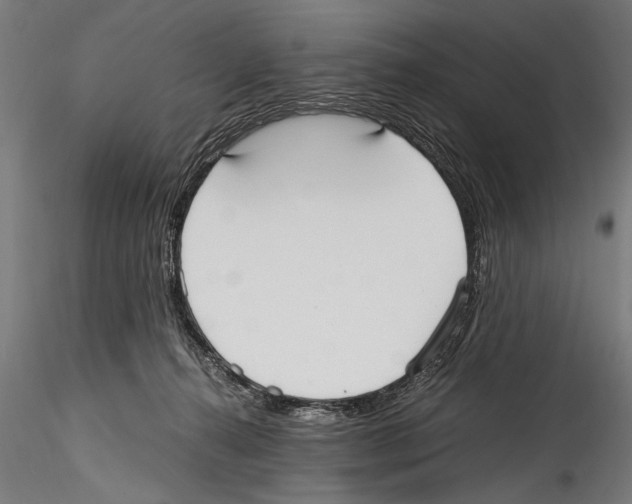 X0000114600272200911301429