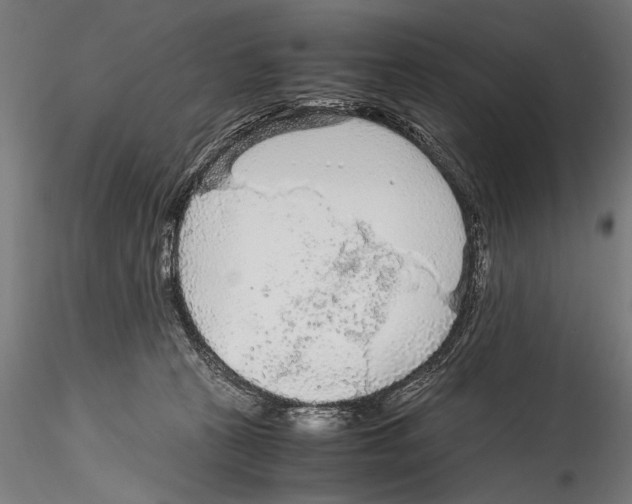 X0000114600273200911301429