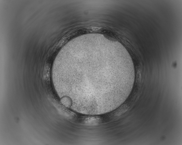 X0000114600274200911301429