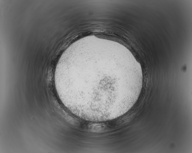 X0000114600277200911301429