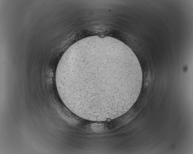 X0000114600279200911301429