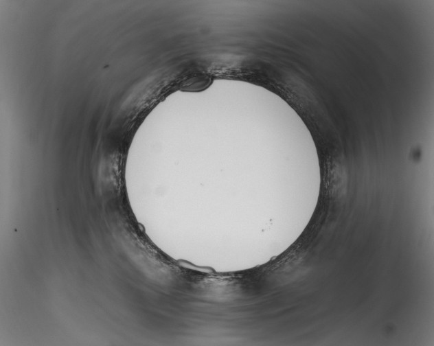 X0000114600280200911301429