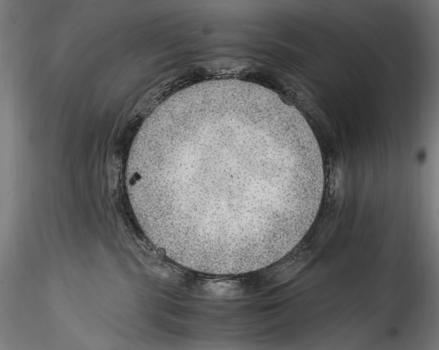 X0000114600283200911301430