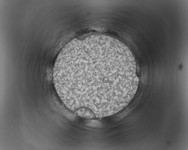 X0000114600285200911301430