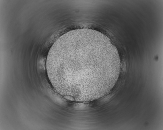 X0000114600286200911301430