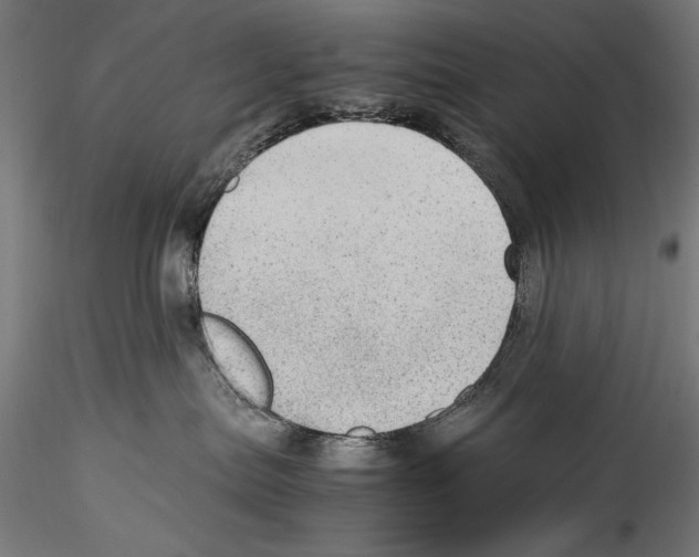 X0000114600287200911301430