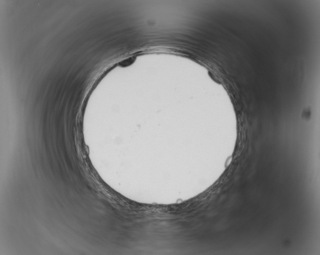 X0000114600289200911301429