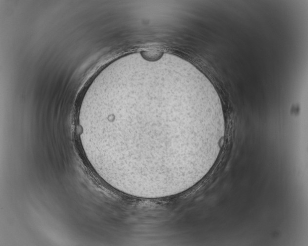 X0000114600290200911301429