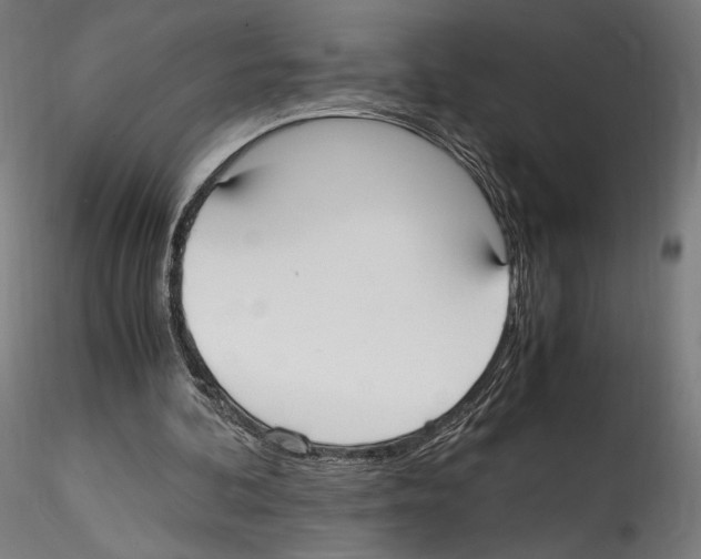 X0000114600292200911301429