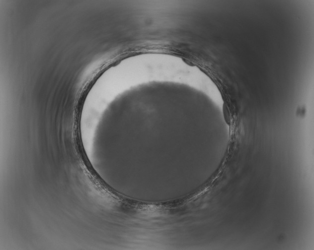 X0000114600293200911301429