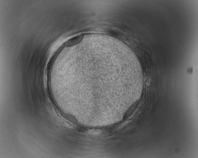 X0000114600294200911301429