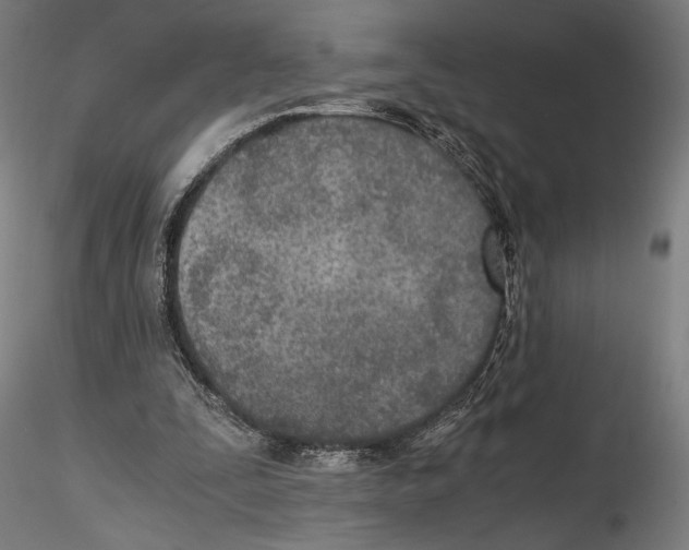 X0000114600295200911301429