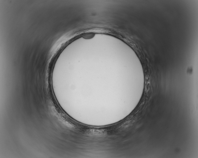 X0000114600296200911301429