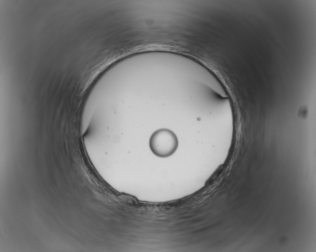 X0000114600297200911301429