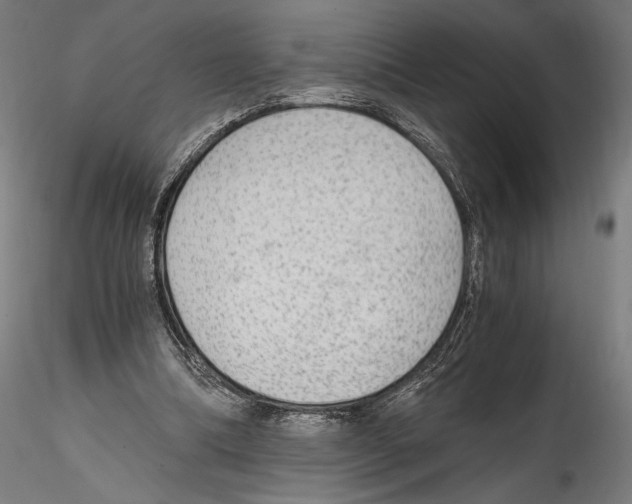 X0000114600298200911301429