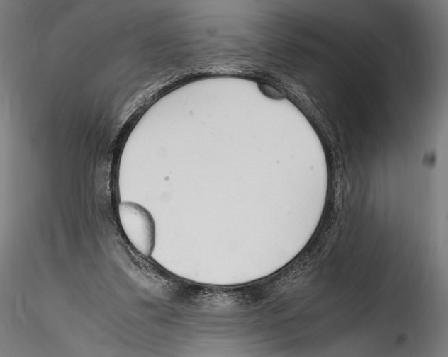 X0000114600299200911301429