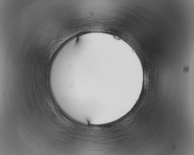 X0000114600301200911301429