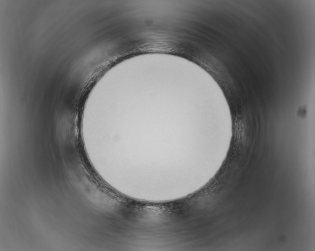 X0000114600302200911301429