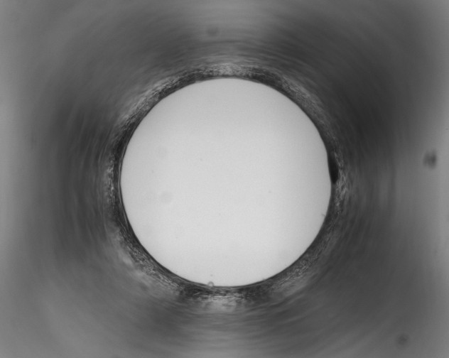 X0000114600306200911301429