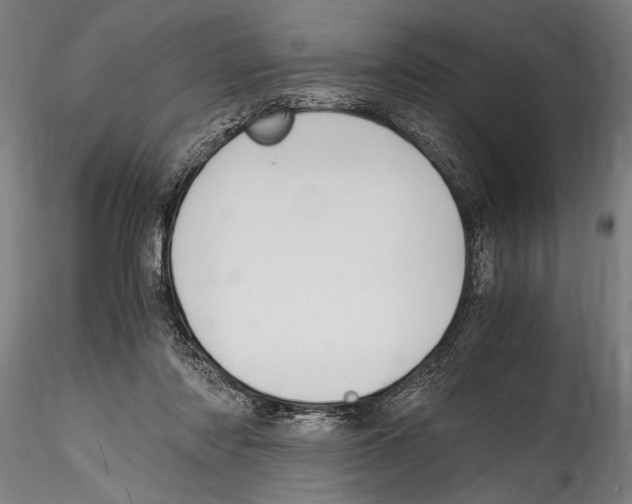 X0000114600310200911301429